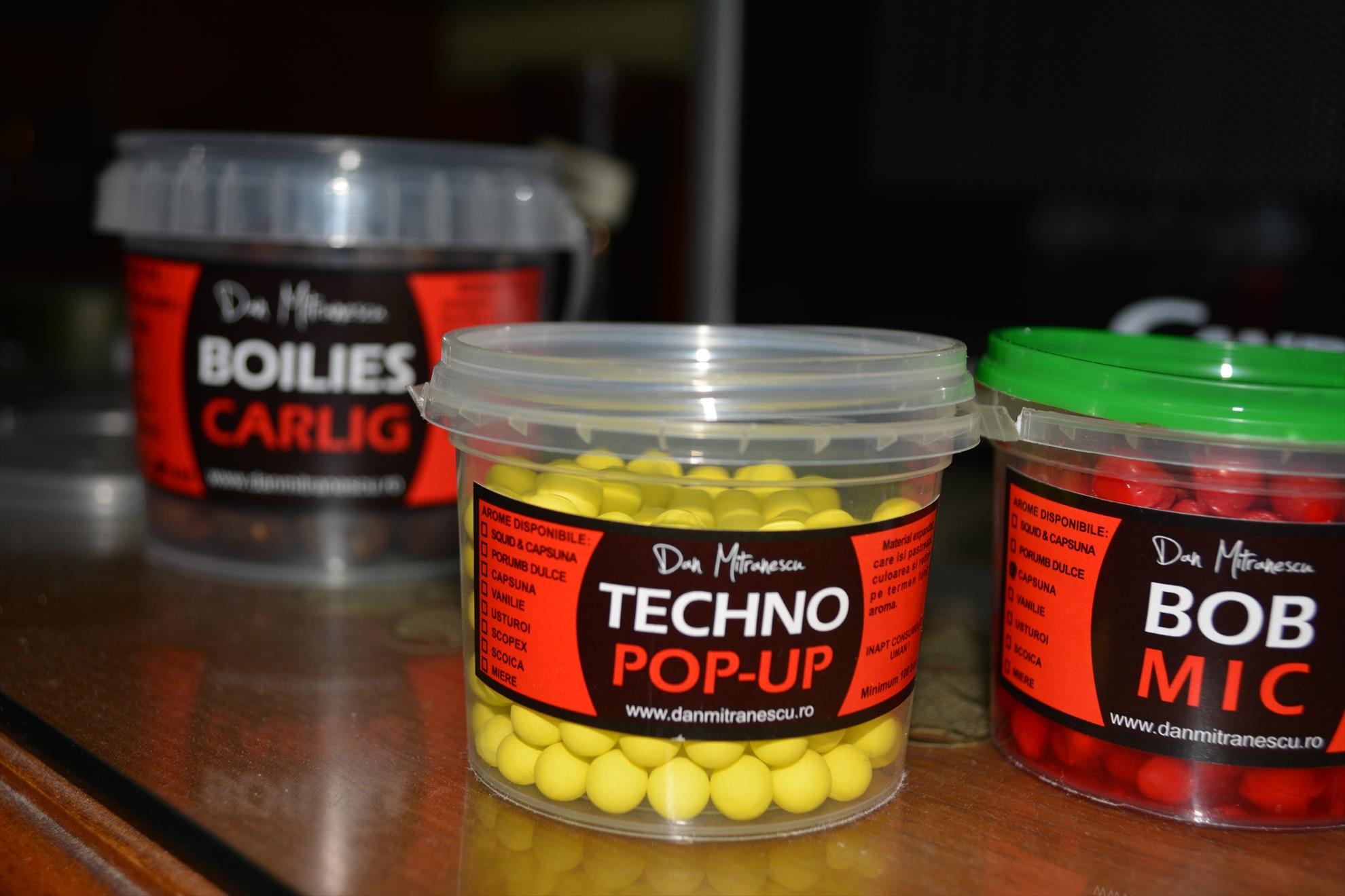 Pregatiri pentru concurs - dsc0061.JPG